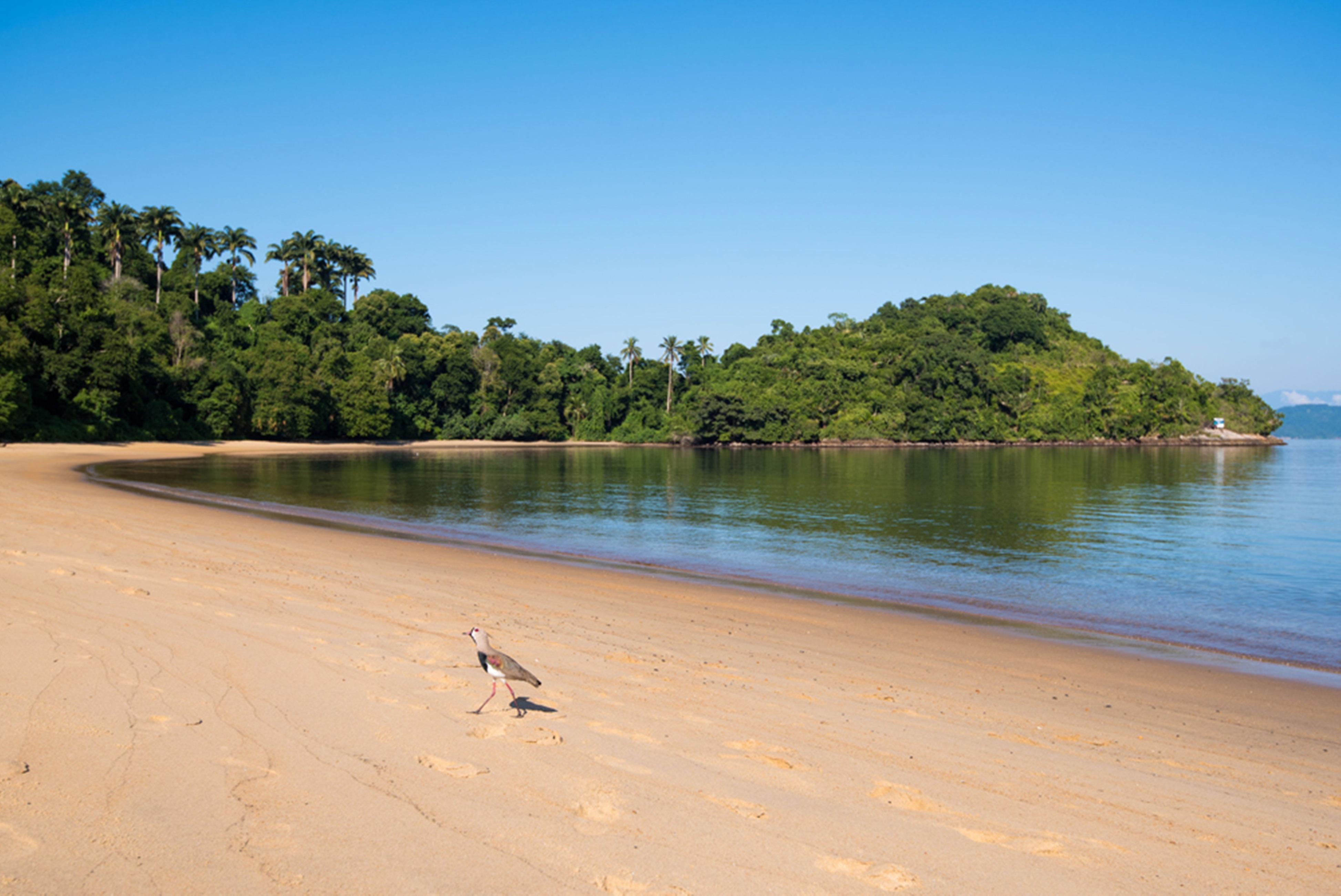 Vila Gale Eco Resort Angra Angra dos Reis Exteriör bild Beach at the park